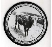 The Cribs - Don T You Wanna Be Relevant Pt [Vinilo]