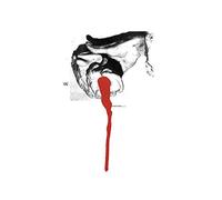 The Cube - Decoy Street [VINYL] [Vinilo]