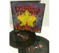 THE CULT wild flower. 4 track 2 x 7 inch EP. G/F PICTURE SLEEVE. BEG195D