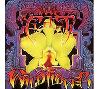 The Cult - Wildflower