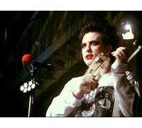 The Cure - Friday I'M in Love
