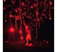 The Danger of Light (2lp+CD) [Vinilo]