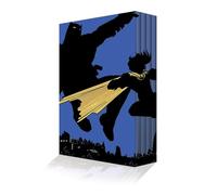 The Dark Knight Returns Slipcase Set: The Dark Knight Returns, Dark Knight Triumphant, Hunt the Dark Knight, the Dark Knight Falls (Batman Dark Knight, 1-4)