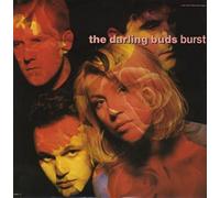 The Darling Buds - Burst (1988) / Vinyl Maxi Single [Vinyl 12'']