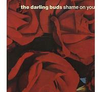 The Darling Buds - Shame On You