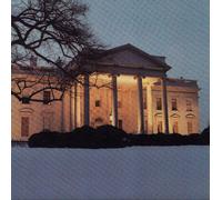 The Dead C The White House (Vinyl) 12" Album