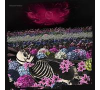 The Dead Rabbitts Redefined (CD) Album