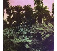 The Dead Sounds - Cuts