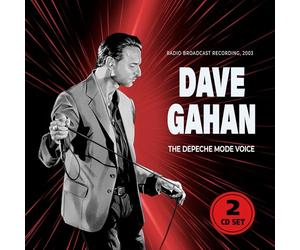The Depeche Mode Voice
