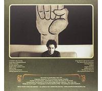 The Destroyer - Ideas for Songs [Import] [Vinilo]