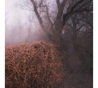 the Devil'S Tra Nincs Szennyezetlen Szép (Ltd Your Pie (Vinyl) (Importación USA)