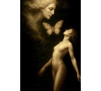 The Diaries of the Swallow: The Diary of the Swallow - Volume 1: Seeds of Light