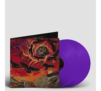 The Direction Of Last Things [Vinilo]