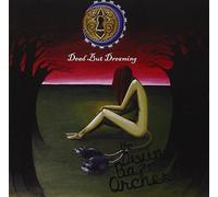 The Divine Baze Orchestra - Dead But Dreaming