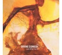 The Divine Comedy - Love What You Do