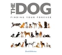 The Dog: Finding Your Forever