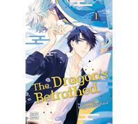 The Dragon's Betrothed, Vol. 1: Volume 1 (DRAGONS BETROTHED GN)