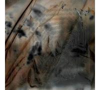THE DRIFT INSTITUTE - DAMAGE AND THEIR SLICES [Vinilo]