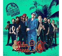 The Dualers - Palm Trees and 80 Degrees ( VINYL) [VINYL] [Vinilo]