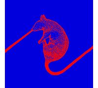 The Dwarfs Of East Agouza - Rats Don´T Eat Synthesizers [Vinilo]