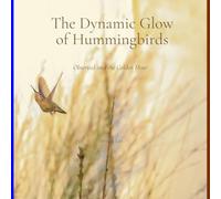 The Dynamic Glow of Hummingbirds: Observed into the Golden Hour (Dynamic Hummingbirds)