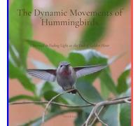 The Dynamic Movements of Hummingbirds: Observed in Fading Light at the End of Golden Hour (Dynamic Hummingbirds)