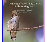 The Dynamic Rest and Reset of Hummingbirds: Moments Observed While Perching Between Flight and Feeding (Dynamic Hummingbirds)