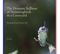 The Dynamic Stillness of Hummingbirds in a Courtyard: Photographed from Morning into Day (Dynamic Hummingbirds)