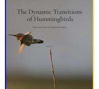 The Dynamic Transitions of Hummingbirds: Observed in Sun and Shadow Interplay (Dynamic Hummingbirds)