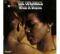 The Dynamics - What A Shame+11