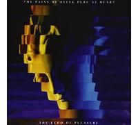 THE ECHO OF PLEASURE