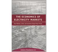 THE ECONOMICS OF ELECTRICITY MARKETS: How Markets, Grids, and Incentives Shape Power Prices