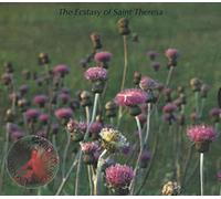 The Ecstasy Of Saint Theresa - Free D