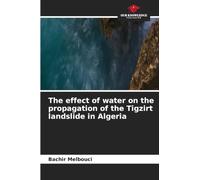 The effect of water on the propagation of the Tigzirt landslide in Algeria