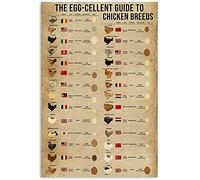 The Egg Cellent Guide To Chicken Breed - Cartel de metal vintage para hogar, cafetería, club, bar, garaje, baño, cocina, decoración de pared, 8 x 12 pulgadas