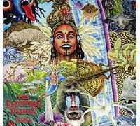 The Electric Family Saba (Vinyl) 12" Album (Importación USA)