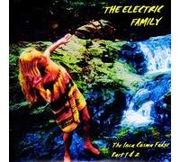 THE ELECTRIC FAMILY - The Inka Cosma Fudge [Vinilo]