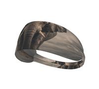 The Elephant On The Grassland Sports Head Tie para hombres y mujeres, cómoda y elegante diadema para todas las actividades