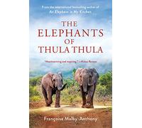The Elephants of Thula Thula: 3 (Elephant Whisperer)