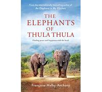 The Elephants of Thula Thula: Finding peace and happiness with the herd