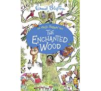 The Enchanted Wood (The Magic Faraway Tree)