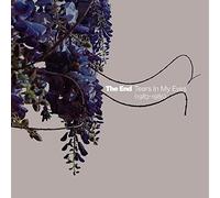 The End - Tears In My Eyes (1983-1985)