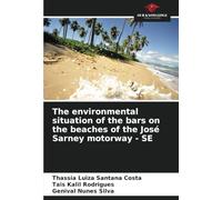 The environmental situation of the bars on the beaches of the José Sarney motorway - SE