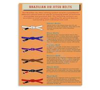 The Essential BJJ Belt Rank Poster Brazilian Jiu Jitsu Wall Art Canvas for Grappling Fans Home Decor(Unframed,12x18inch(30x45cm))