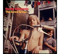 The Essex Green - Hardly Electronic [Vinilo]
