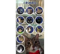 The Everything Journal: Standard size (11x21 cm) multipurpose blank-lined-dotted notebook - 200 pages