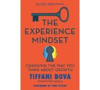 The Experience Mindset (ebook)