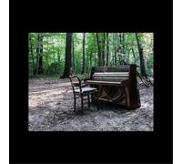 The Eye of Time Acoustic II (Vinyl) 12" Album (Importación USA)