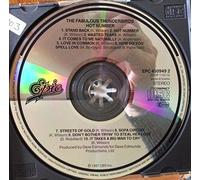 The Fabulous Thunderbirds - Hot Number