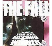 The Fall – Are You Are Missing Winner – CD – Caja ampliada (4CD)